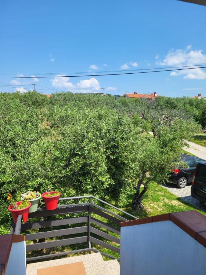 Apartament La Marea Portoroz Sečovlje Zewnętrze zdjęcie